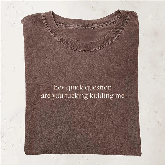 Hey Quick Question Are You Kidding Me T-shirt
